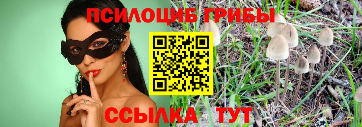 Нефтекамск  Галлюциногенные грибы Psilocybine cubensis  Вход с VPN  Псилоцибиновые грибы Psilocybine cubensis 